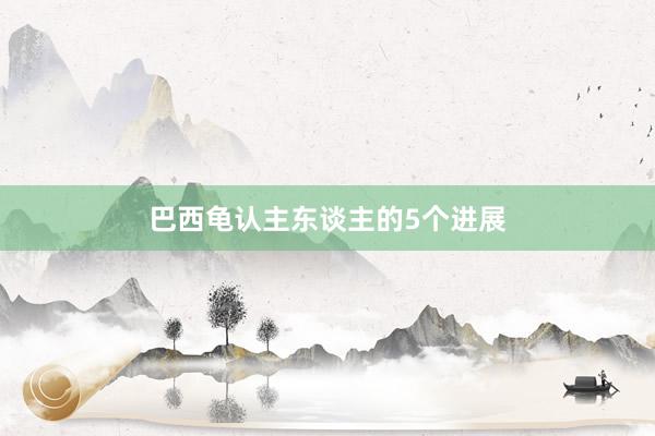 巴西龟认主东谈主的5个进展