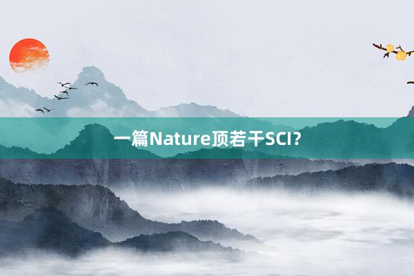 一篇Nature顶若干SCI？